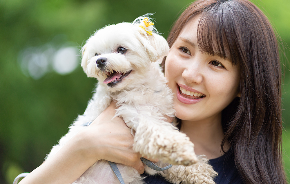 相模原市緑区・つくい湖犬猫の病院